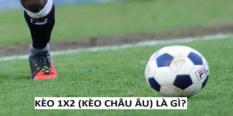 Giải mã kèo 1x2